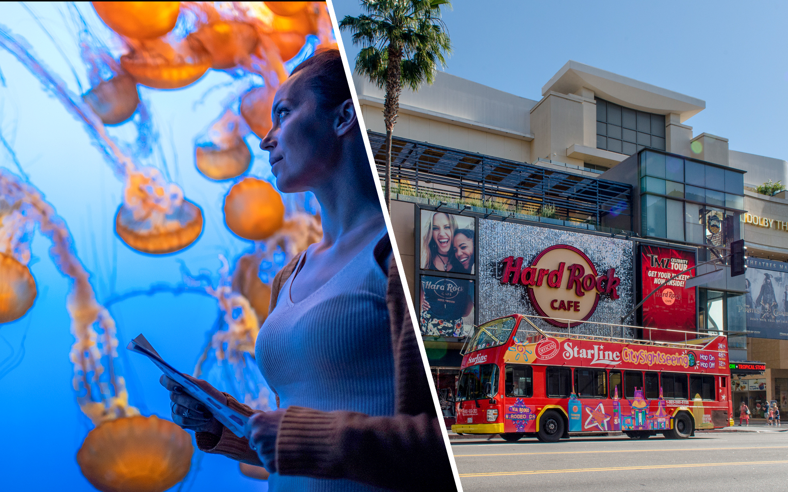 Hop-on Hop-off Los Angeles Bus Tours | 24/48/72-hour passes