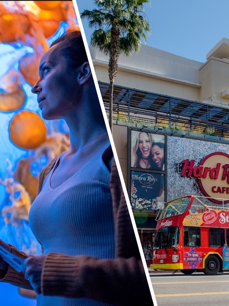 Hop-on Hop-off Los Angeles Bus Tours | 24/48/72-hour passes