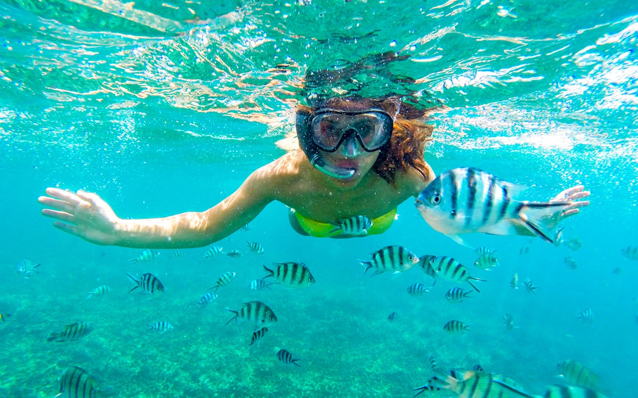 Snorkeler swimming among fish in Orange Bay, Egypt.