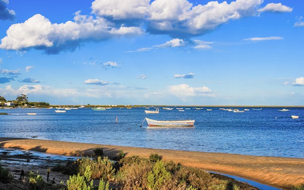 Boats floating on a calm blue sea near a sandy shore during a private island tour.