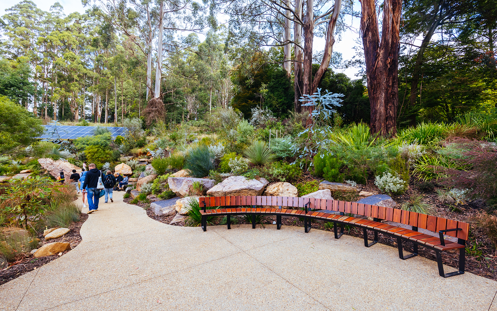 Visitors walking through Dandenong Ranges Botanic Garden with native plants and trees.