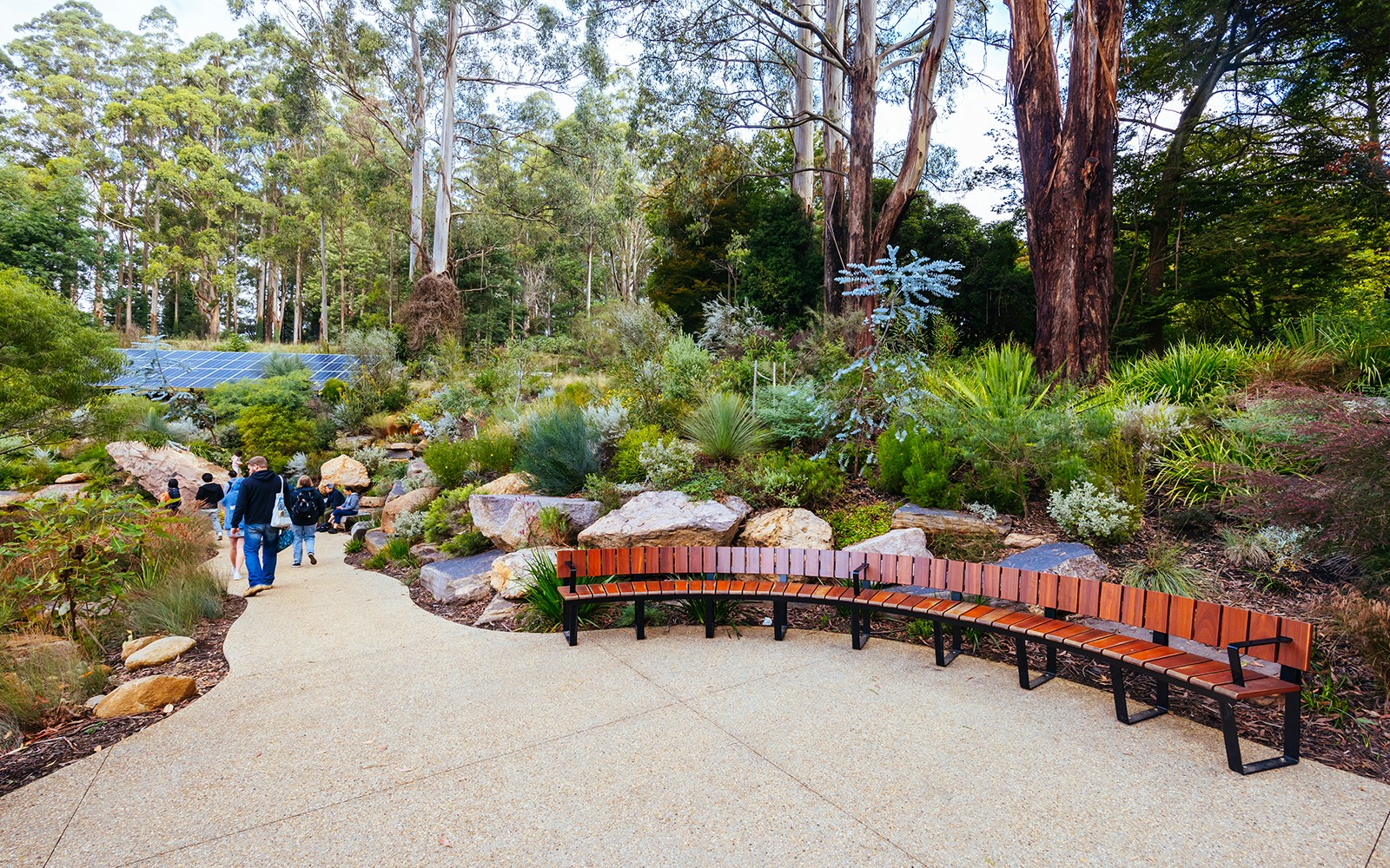 Visitors walking through Dandenong Ranges Botanic Garden with native plants and trees.