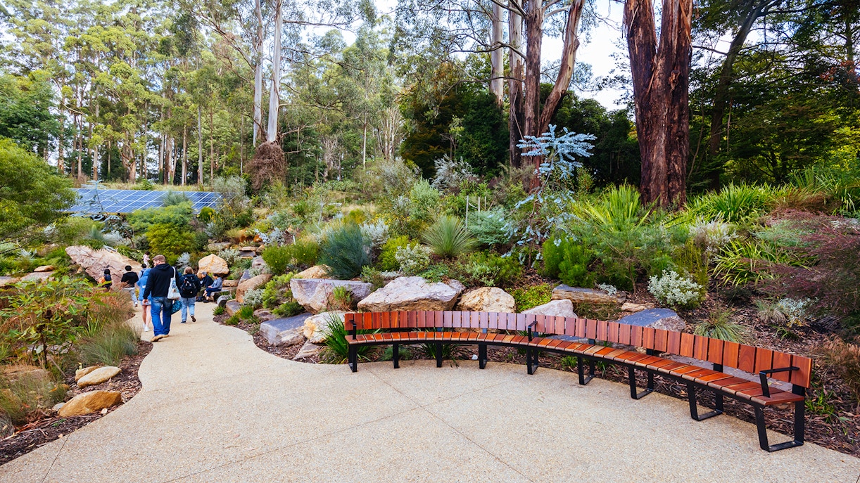 Visitors walking through Dandenong Ranges Botanic Garden with native plants and trees.