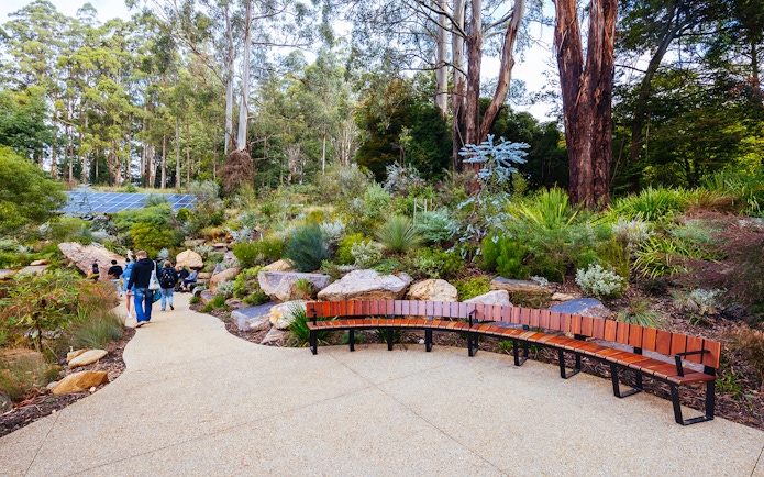 Visitors walking through Dandenong Ranges Botanic Garden with native plants and trees.