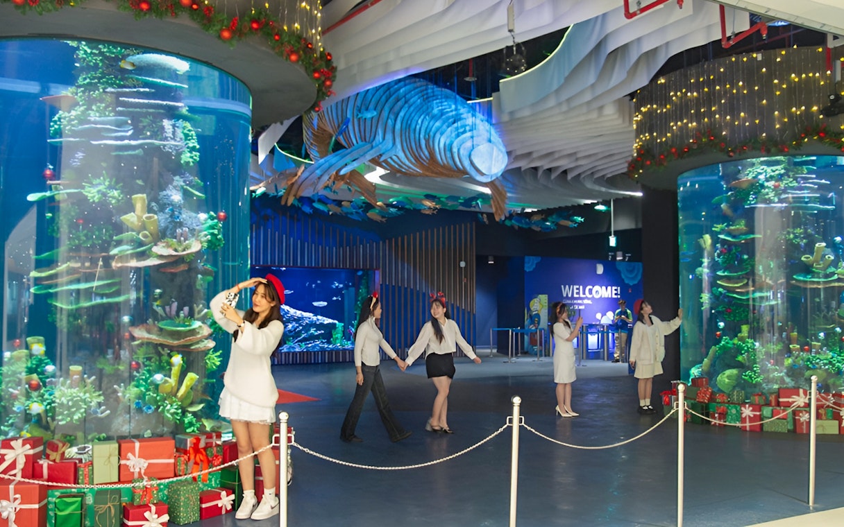Tourists exploring Lotte World Aquarium Hanoi with festive decorations.