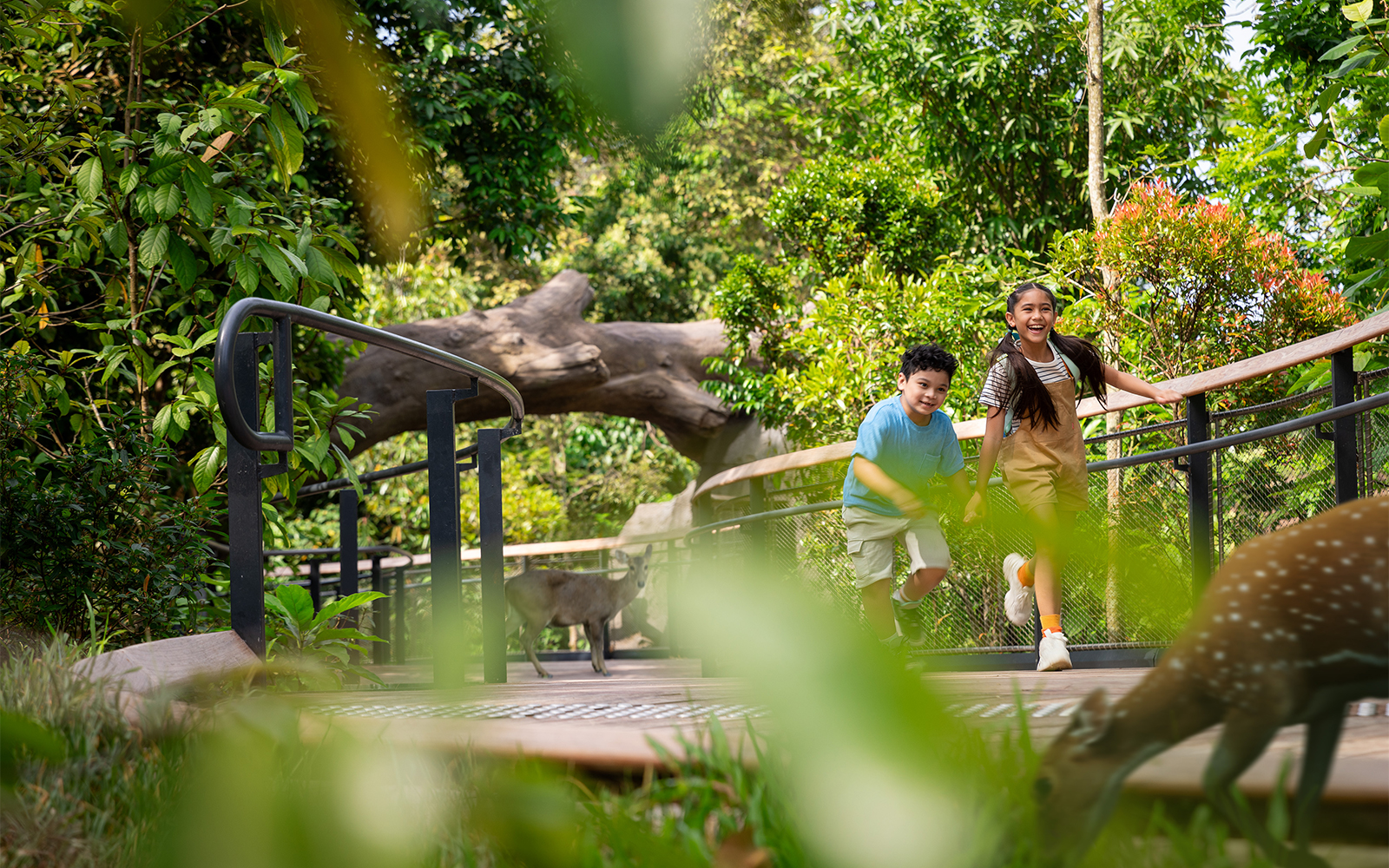 Children exploring a forest walkway with wildlife nearby.