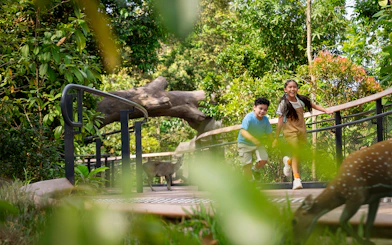 Children exploring a forest walkway with wildlife nearby.