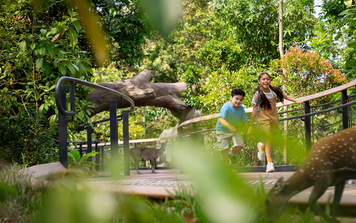 Children exploring a forest walkway with wildlife nearby.