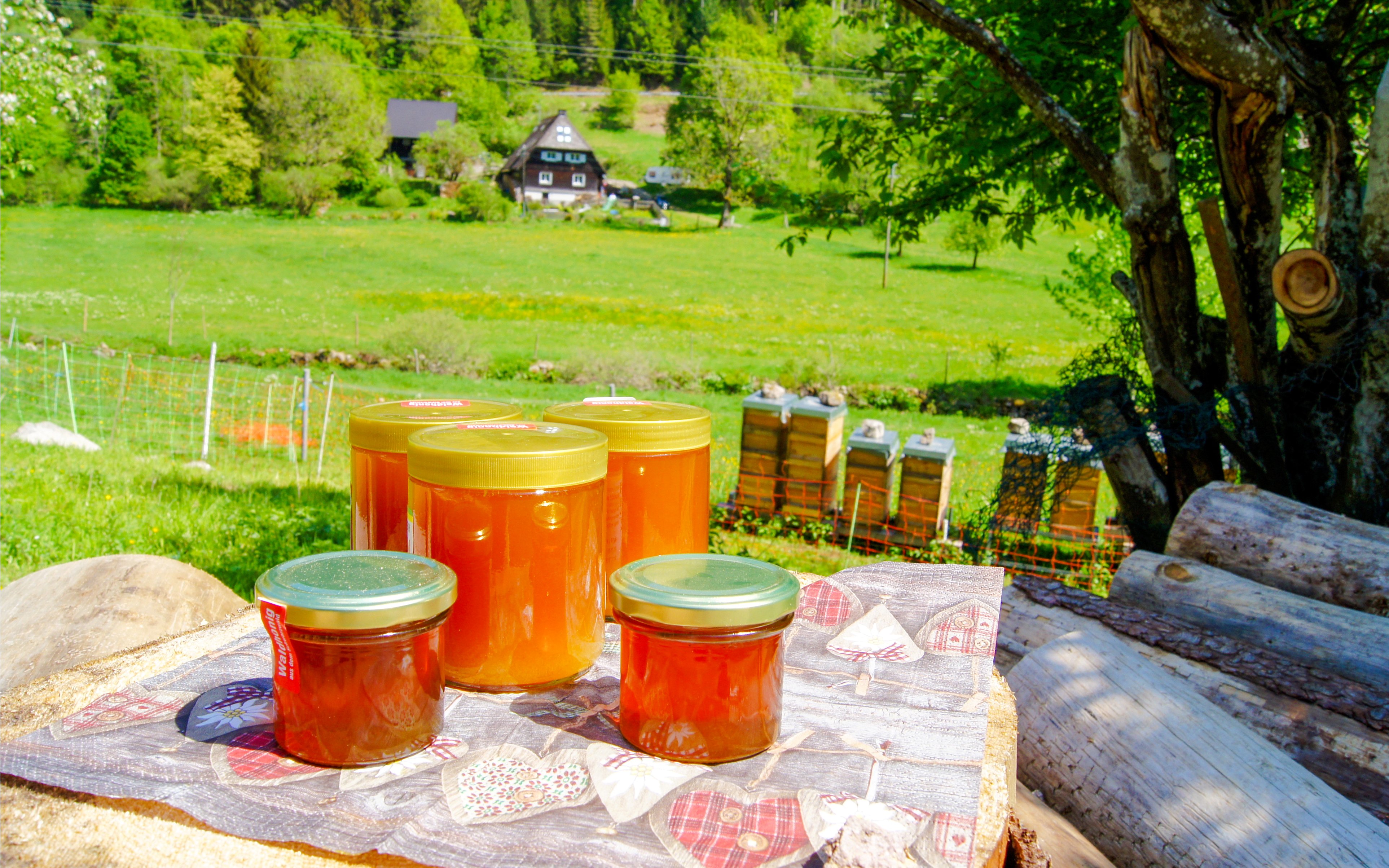 Jars of honey with beehives in Schwangau village countryside.