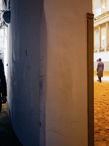 Spanish Riding School training session with riders and white horses in an indoor arena.
