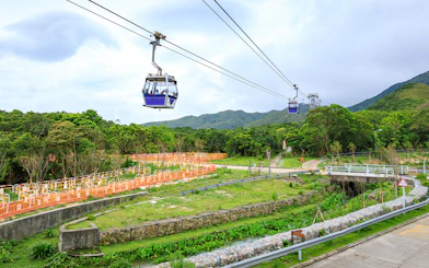 Ngong Ping Cable Car over lush landscape with mountains in the background, Hong Kong.