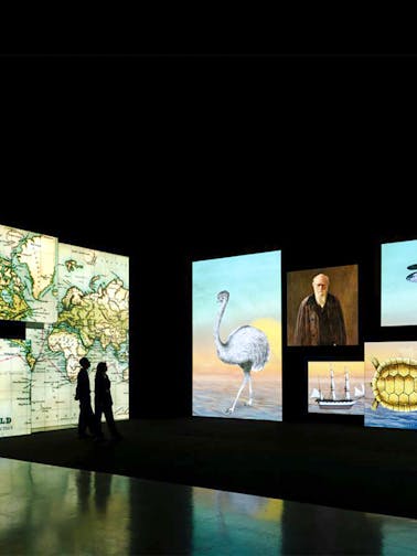 Frameless & National Portrait Gallery