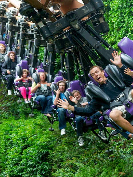 Families enjoying a thrilling rollercoaster ride through lush greenery.