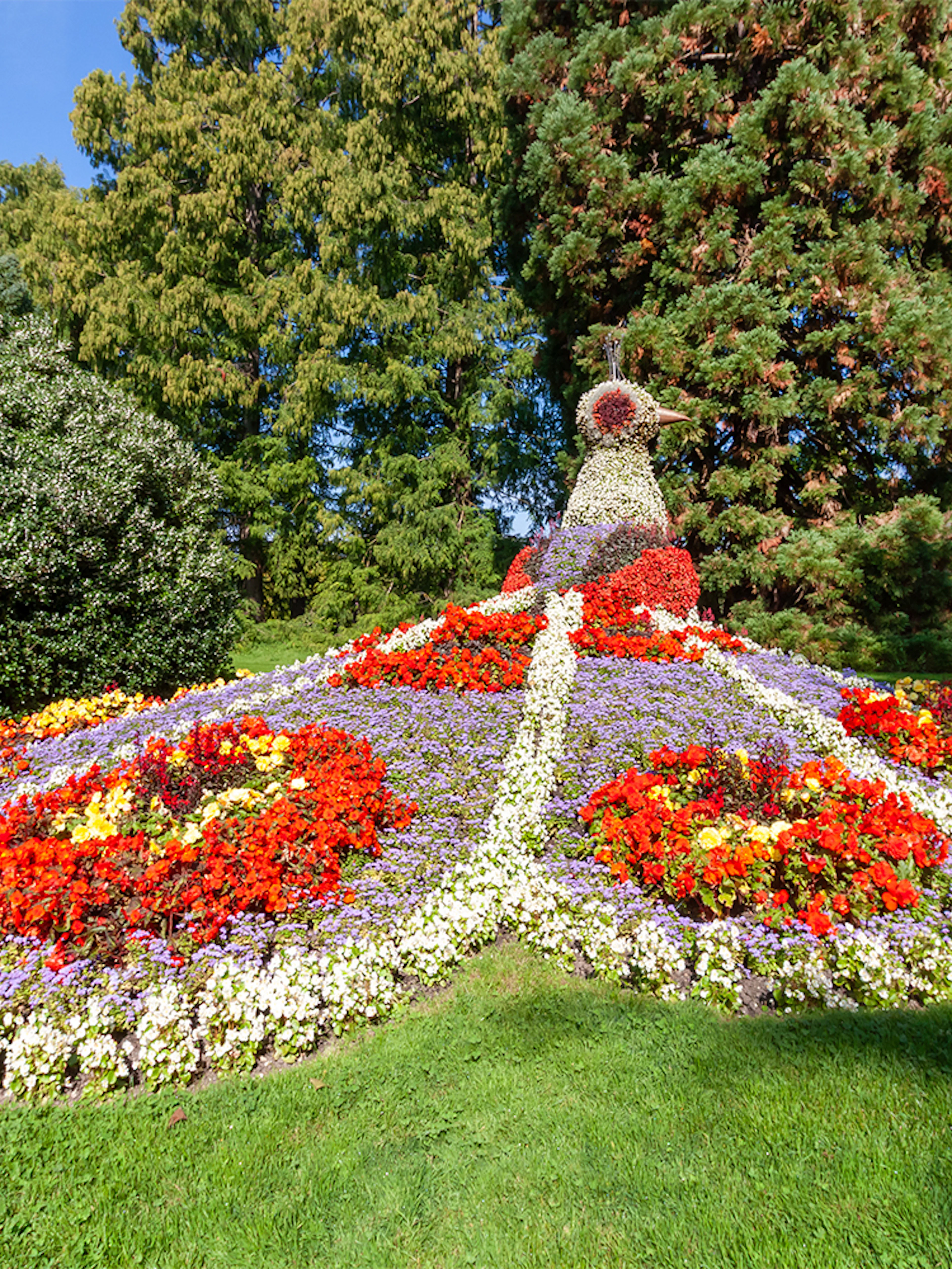 Peacock sculpture made of flowers at Mainau Island garden, Lake Constance.