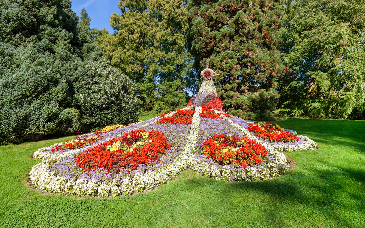 Peacock sculpture made of flowers at Mainau Island garden, Lake Constance.