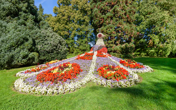 Lake Constance: Mainau Flower Island Entry Tickets