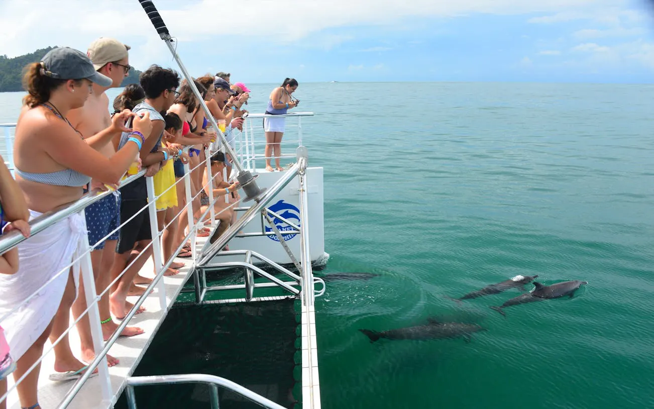 Tourists on a catamaran watching dolphins near Biesanz Bay, Manuel Antonio.