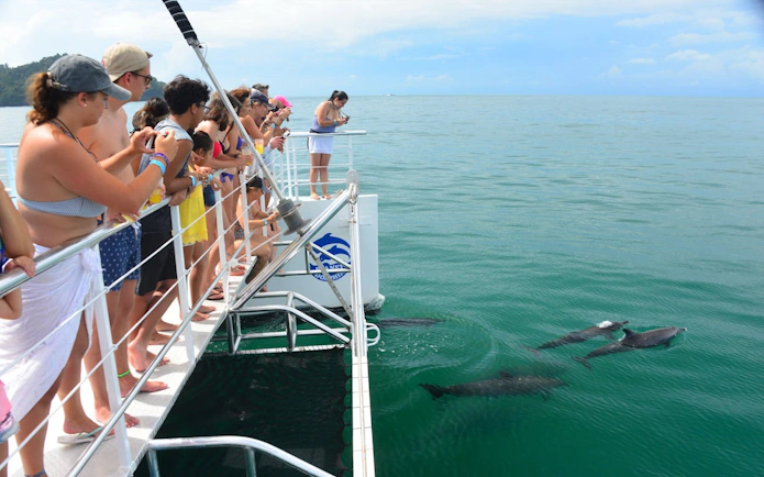 Tourists on a catamaran watching dolphins near Biesanz Bay, Manuel Antonio.