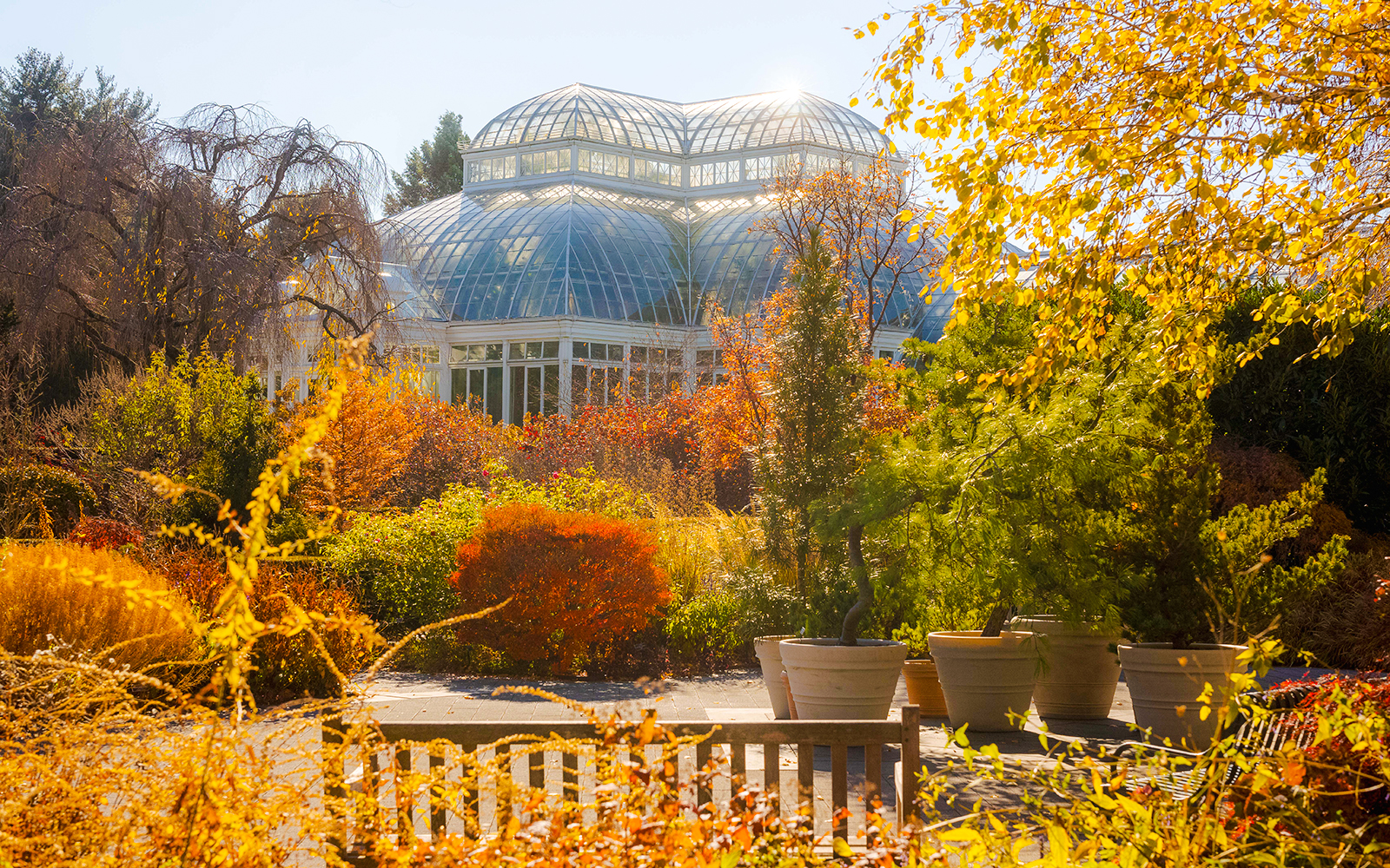 Conservatory surrounded by autumn foliage at New York Botanical Garden.