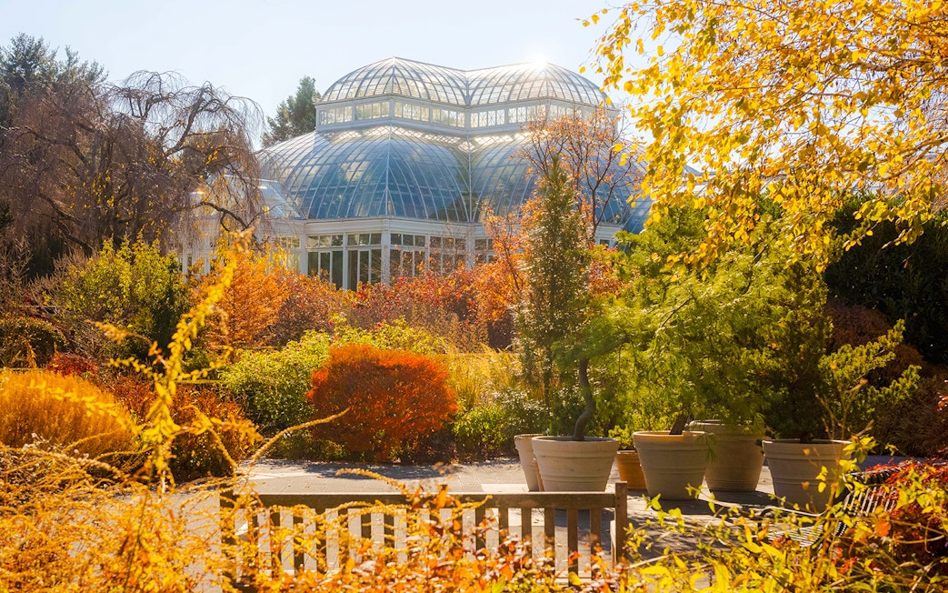 Conservatory surrounded by autumn foliage at New York Botanical Garden.