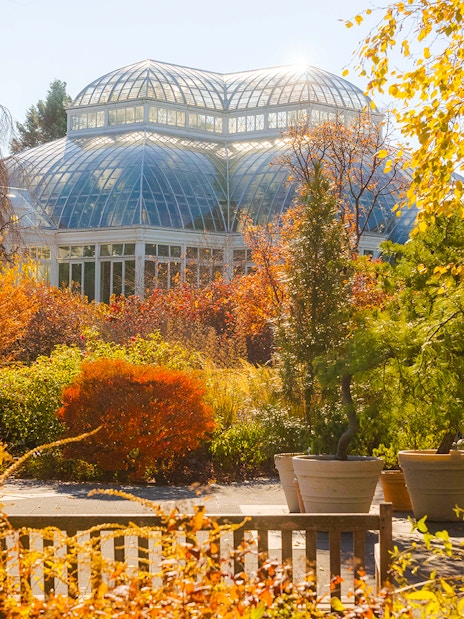 Conservatory surrounded by autumn foliage at New York Botanical Garden.