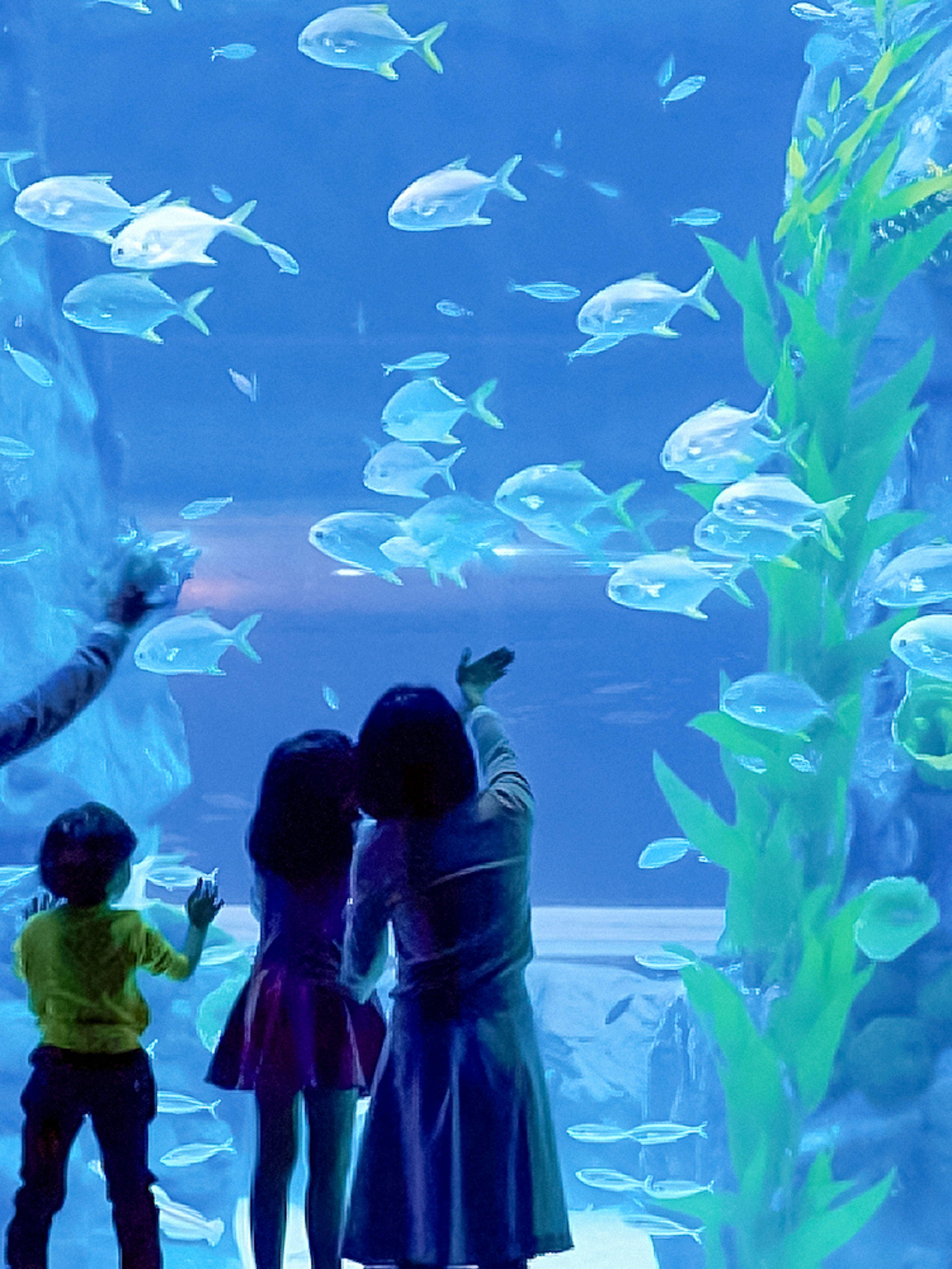 Family observing fish at Jamsil Lotte World Aquarium, Seoul.