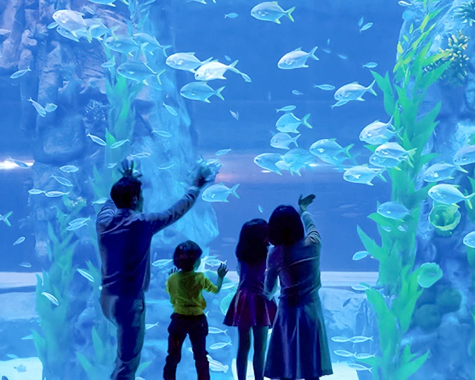 Lotte World Aquarium Tickets