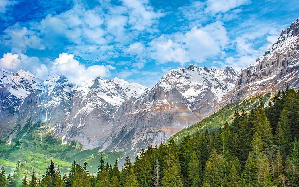 Scenic view of snow-capped Alps and forest near Mount Titlis.