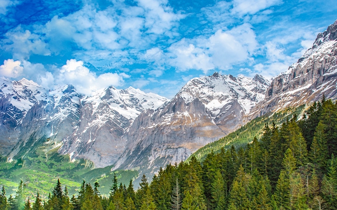 Scenic view of snow-capped Alps and forest near Mount Titlis.