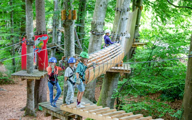 Children crossing a rope bridge at Ropes Park Interlaken.