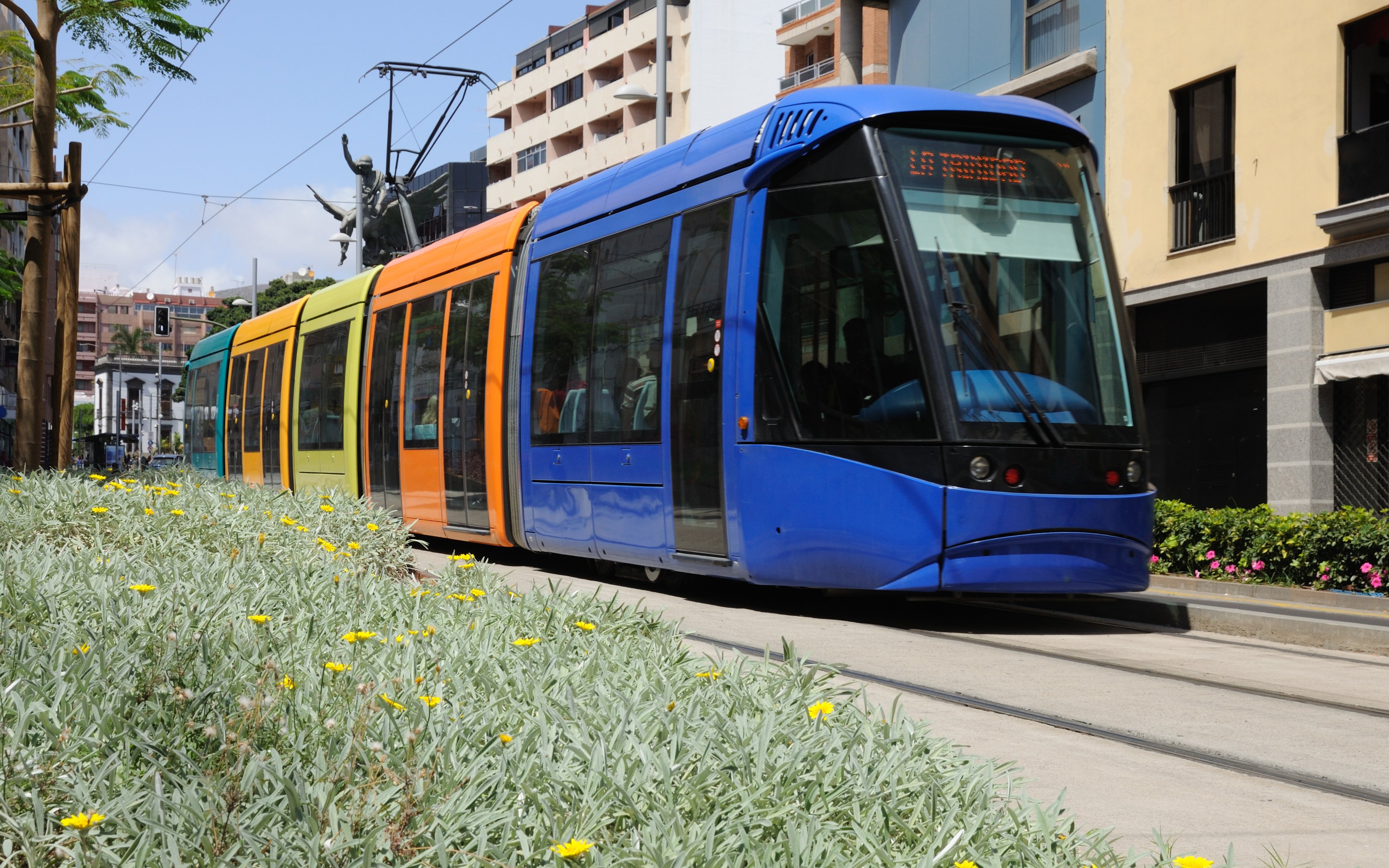 Tramway in Santa Cruz de Tenerife, Spain passing through a city street.