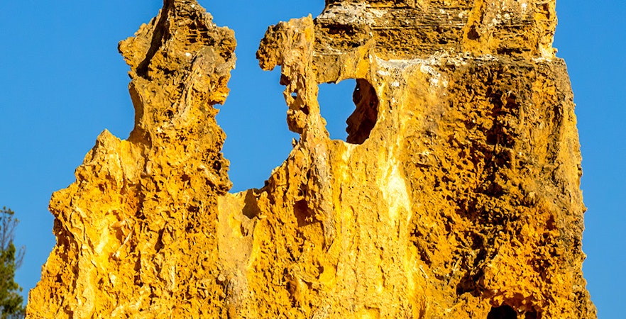 Pinnacles Desert Tours