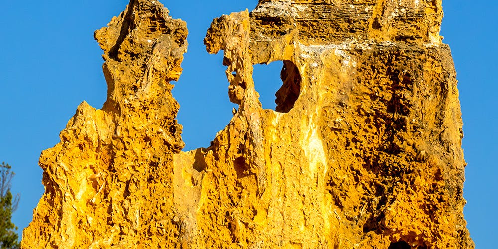 Pinnacles Desert Tours