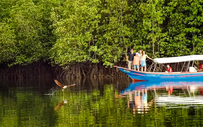 From Langkawi: Kilim Geoforest Park Mangrove and Island-Hopping Cruise with Hotel Transfers and Lunch