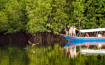 fra langkawi: kilim geoforest park – mangrovetur og øyhopping med hotelltransport og lunsj-6