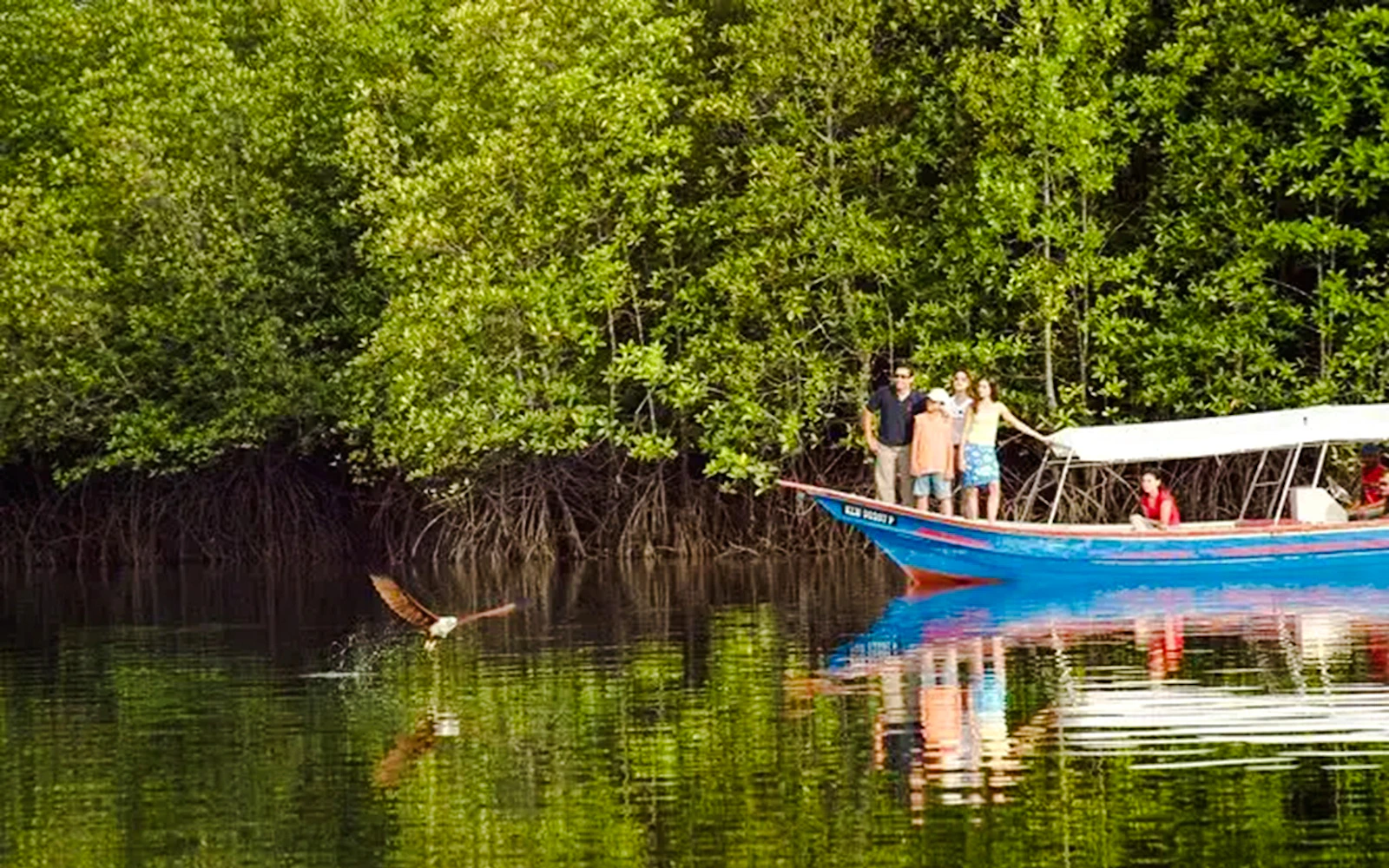 From Langkawi: Kilim Geoforest Park Mangrove and Island-Hopping Cruise with Hotel Transfers and Lunch Image 6