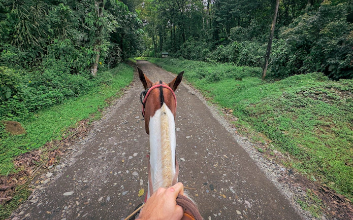 Horseback riding on a jungle trail in Manuel Antonio.