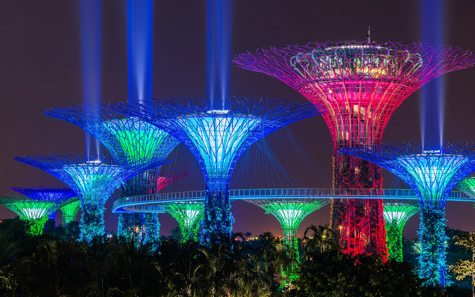 Gardens by the Bay light show