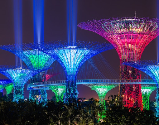 Gardens by the Bay - Garden Rhapsody: Star Wars edition