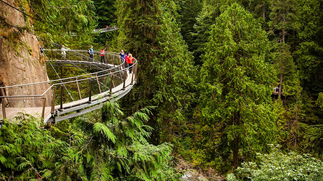 Visitors walking on the Capilano Suspension Bridge in a lush forest setting.