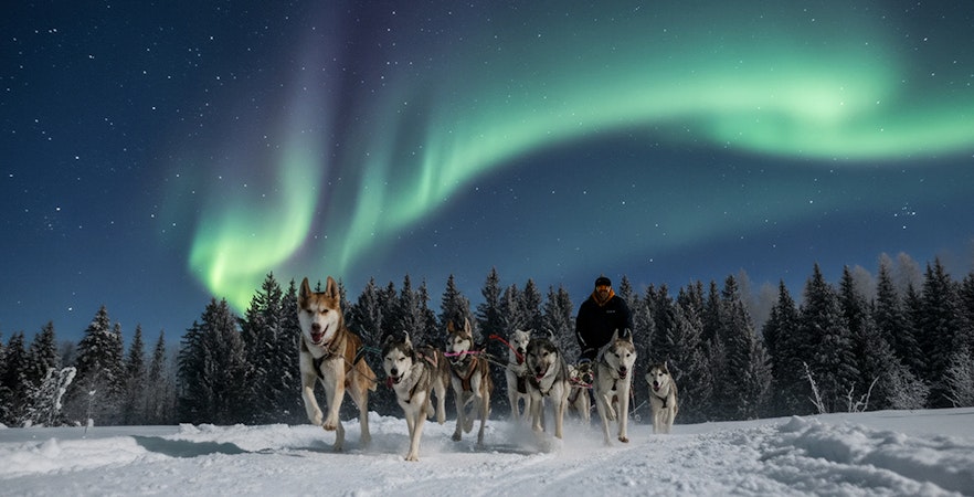 Husky sledding under Northern Lights in Lapland forest.