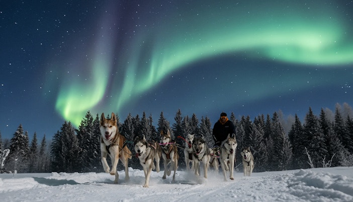 Husky sledding under Northern Lights in Lapland forest.
