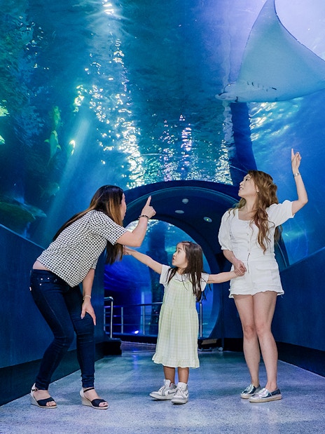Visitors admire marine life in the tunnel at SEA LIFE Melbourne.