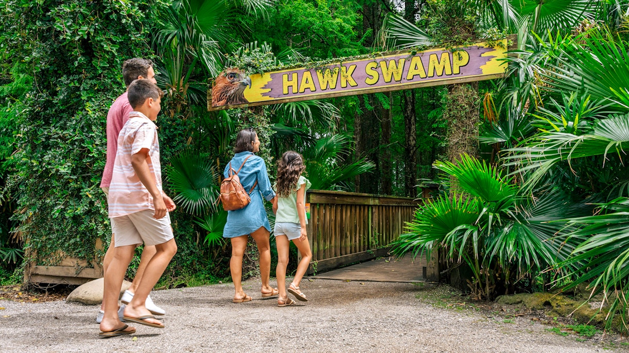 Guests walking through Hawk Swamp entrance in Everglades wildlife park.