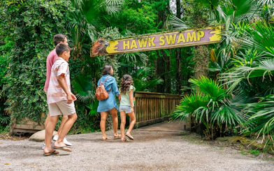Guests walking through Hawk Swamp entrance in Everglades wildlife park.