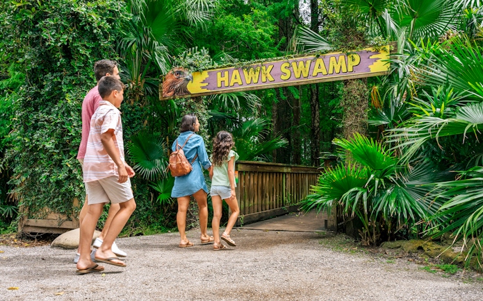 Guests walking through Hawk Swamp entrance in Everglades wildlife park.