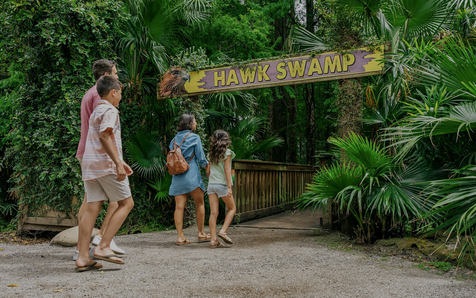 Guests walking through Hawk Swamp entrance in Everglades wildlife park.