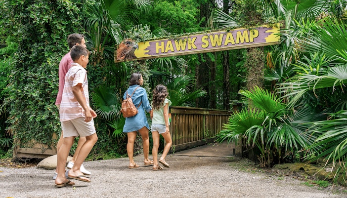 Guests walking through Hawk Swamp entrance in Everglades wildlife park.