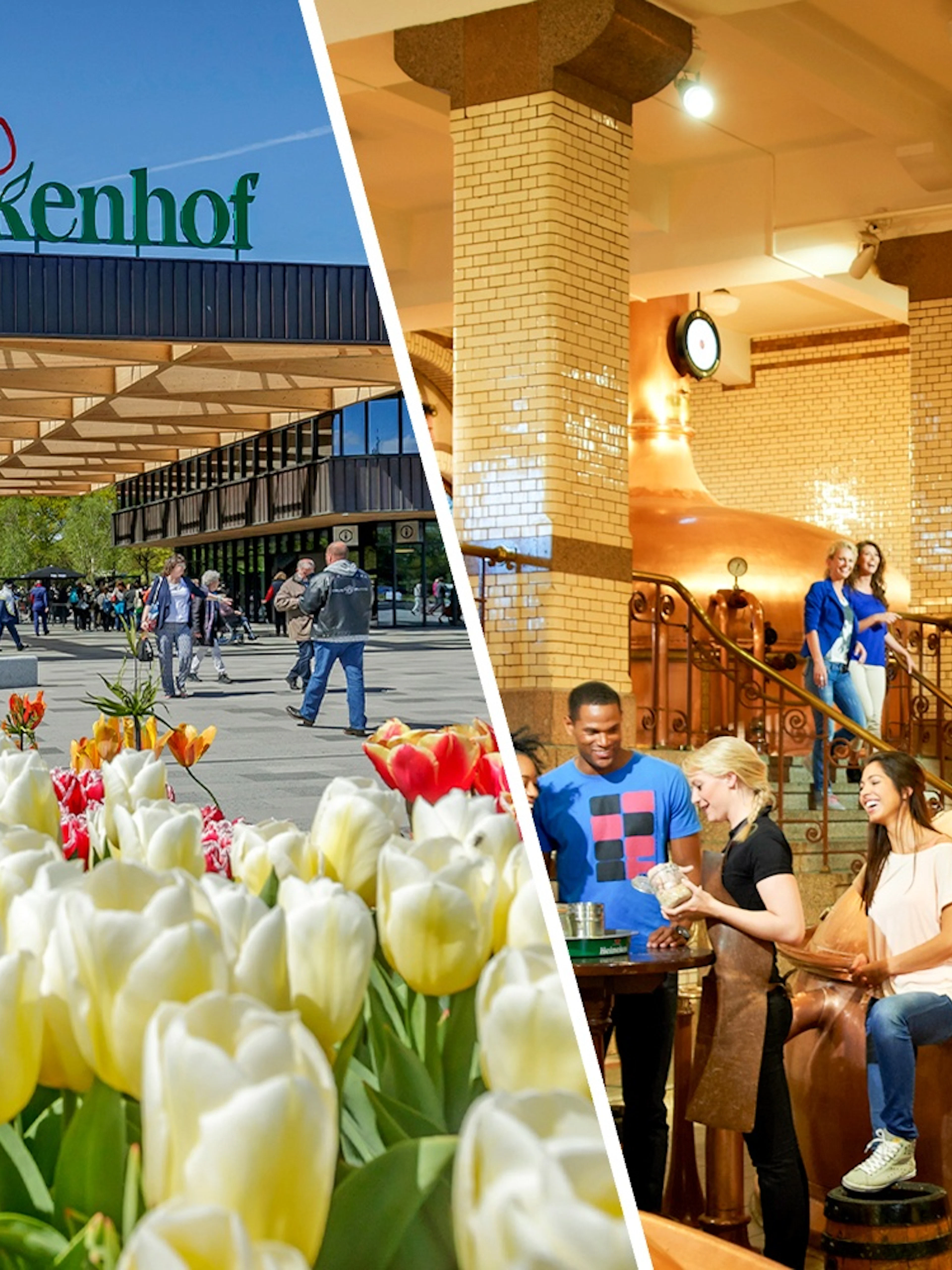 Keukenhof entrance with tulips in foreground, Netherlands.