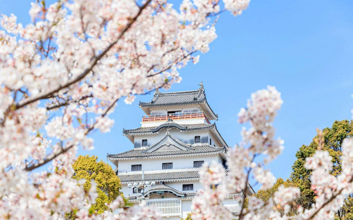 Karatsu Castle framed by cherry blossoms in Karatsu City, Saga Prefecture.